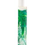 عطر ادکلن رین‌فورست میست اسکایلر - Rainforest Mist Skylar - بررسی، قیمت و خرید
