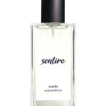 عطر ادکلن سوئد عثمانتوس سنتایر - Suede Osmanthus Sentire - بررسی، قیمت و خرید