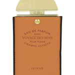 عطر ادکلن وویاژ د سنس آیلند فان - Voyage de Sens Island FAAN - بررسی، قیمت و خرید