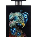 عطر ادکلن ایگل ویژنری سیمون پاریس - Eagle Visionary Simone Paris - بررسی، قیمت و خرید