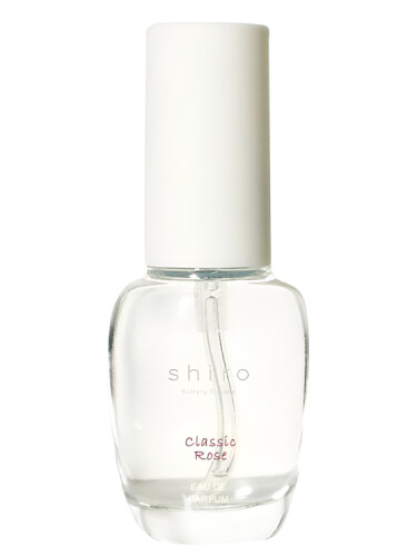 عطر ادکلن کلاسیک رز شیرو - Classic Rose Shiro - بررسی، قیمت و خرید