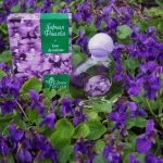 عطر ادکلن گورنی فیتالکا سِوِرنو سیاِنِیِه - Горная фиалка Северное сияние - بررسی، قیمت و خرید