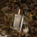 عطر ادکلن آلوا اینکارنا پارفومز - Alva Incarna parfums - بررسی، قیمت و خرید