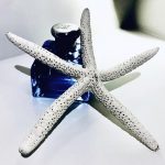 عطر ادکلن رالف لورن بلو رالف لورن - Ralph Lauren Blue Ralph Lauren - بررسی، قیمت و خرید
