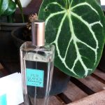 عطر ادکلن پور بلانکا هارمونی ایوون - Pur Blanca Harmony Avon - بررسی، قیمت و خرید
