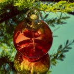 عطر ادکلن بلیسفول فانتسی بریتنی اسپیرز - Blissful Fantasy Britney Spears - بررسی، قیمت و خرید