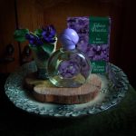 عطر ادکلن گورنی فیتالکا سِوِرنو سیاِنِیِه - Горная фиалка Северное сияние - بررسی، قیمت و خرید