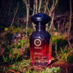 عطر ادکلن دِلما ویدیان - Delma WIDIAN - بررسی، قیمت و خرید