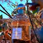 عطر ادکلن آکوا آلگوریا نتاره دی سول گرلن - Aqua Allegoria Nettare di Sole Guerlain - بررسی، قیمت و خرید