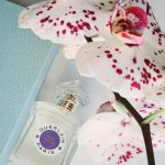 عطر ادکلن آپره لونده او دو تویلت گرلن - Après L'Ondée Eau de Toilette Guerlain - بررسی، قیمت و خرید
