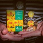 عطر ادکلن زولوتوی نرسیس سیورنو سییانیه - Золотой нарцисс Северное сияние - بررسی، قیمت و خرید