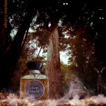 عطر ادکلن تاپ شلف وان وی بریج پرفیومز - Top Shelf One Way Bridge Perfumes - بررسی، قیمت و خرید