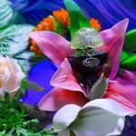 عطر ادکلن اورلی داروی ریاچی - Aurélie d'Harwey Riachi - بررسی، قیمت و خرید