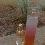 عطر ادکلن سان کیسد بث اند بادی ورکس - Sunkissed Bath & Body Works - بررسی، قیمت و خرید
