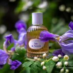 عطر ادکلن آیریس و نرولی ژان اَن پرووانس - Iris & Néroli Jeanne en Provence - بررسی، قیمت و خرید