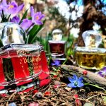 عطر ادکلن تودِی تُمارو آلویس سلبریت اون - Today Tomorrow Always Celebrate (2024) Avon - بررسی، قیمت و خرید