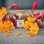 عطر ادکلن لاو این ا میست پراویدنس پرفیوم کو - Love-In-A-Mist Providence Perfume Co. - بررسی، قیمت و خرید
