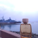 عطر ادکلن سی میموسا گس بیجو - Sea Mimosa Gas Bijoux - بررسی، قیمت و خرید
