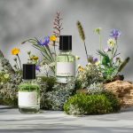 عطر ادکلن کازشبسچی مچ پرفیوم‌کرافت - Kaszebsczi Mech PerfumeCraft - بررسی، قیمت و خرید