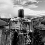 عطر ادکلن جسمین پرل دو ته فراگونار - Jasmin Perle de Thé Fragonard - بررسی، قیمت و خرید