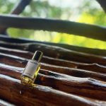عطر ادکلن مدوسا هاوس آو پونته - Medusa House of Puente - بررسی، قیمت و خرید
