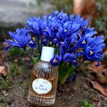 عطر ادکلن آیریس و نرولی ژان اَن پرووانس - Iris & Néroli Jeanne en Provence - بررسی، قیمت و خرید