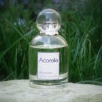 عطر ادکلن تر دو سدر آکرله - Terre de Cèdre Acorelle - بررسی، قیمت و خرید