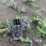 عطر ادکلن لیلی آو د ولی آکوا دی پارما - Lily of the Valley Acqua di Parma - بررسی، قیمت و خرید