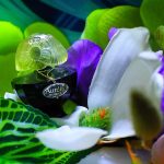 عطر ادکلن اورلی داروی ریاچی - Aurélie d'Harwey Riachi - بررسی، قیمت و خرید
