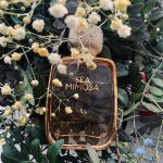 عطر ادکلن سی میموسا گس بیجو - Sea Mimosa Gas Bijoux - بررسی، قیمت و خرید