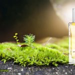 عطر ادکلن ماسوی سوایل جمپ آرتیسان پرفیومز - Mossy Soil JMP Artisan Perfumes - بررسی، قیمت و خرید