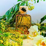 عطر ادکلن سی میموسا گس بیجو - Sea Mimosa Gas Bijoux - بررسی، قیمت و خرید