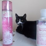 عطر ادکلن ویِنتِربِری وانْدِر بث اند بادی ورکز - Winterberry Wonder Bath & Body Works - بررسی، قیمت و خرید