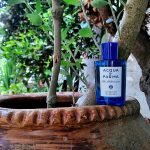 عطر ادکلن چینوتو دی لیگوریا آکوا دی پارما - Chinotto di Liguria Acqua di Parma - بررسی، قیمت و خرید