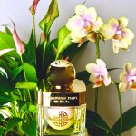 عطر ادکلن گلد لیلی شانگهای تانگ - Gold Lily Shanghai Tang - بررسی، قیمت و خرید