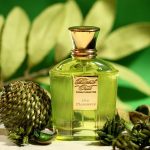 عطر ادکلن عود مراکش بلند عود - Oud Marrakech Blend Oud - بررسی، قیمت و خرید