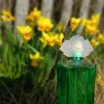 عطر ادکلن گاردنیا الیزابت تیلور - Gardenia Elizabeth Taylor - بررسی، قیمت و خرید