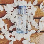 عطر ادکلن کاتن بلوسام سولینوتس - Cotton Blossom Solinotes - بررسی، قیمت و خرید