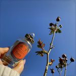 عطر ادکلن وارا پنالیگانز - Vaara Penhaligon's - بررسی، قیمت و خرید