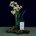 عطر ادکلن بد ولف نوز ریپابلیک - Bad Wolf Nose Republic - بررسی، قیمت و خرید