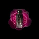 عطر ادکلن رُز امپودیک رو پارفومز - Rose Impudique Roh Parfums - بررسی، قیمت و خرید