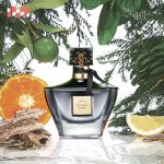 عطر ادکلن گری لایتنینگ استورم پیپر پرزنتد دیه جی شینی - Grey Lightning Storm 灰色雷暴 Paper Presented 叠纸心意 - بررسی، قیمت و خرید