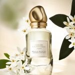 عطر ادکلن کشمر اند تونیشین نرولی دانا کارن - Cashmere & Tunisian Neroli Donna Karan - بررسی، قیمت و خرید