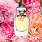 عطر ادکلن مادرن گاردن روزز مکوت پرفیومز - Modern Garden Roses Macott Parfums - بررسی، قیمت و خرید