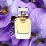 عطر ادکلن سومیره مکات پارفومز - Sumire Macott Parfums - بررسی، قیمت و خرید