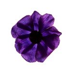 عطر ادکلن ساتین میزان دلاوی - Satin Maison Dahlawi - بررسی، قیمت و خرید