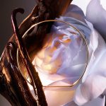 عطر ادکلن ابسولو رز آن د مان لانکوم - Absolue Rose On The Moon Lancôme - بررسی، قیمت و خرید