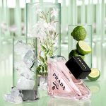 عطر ادکلن پرادا پارادوکس ویرچوال فلاور پرادا - Prada Paradoxe Virtual Flower Prada - بررسی، قیمت و خرید