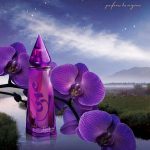 عطر ادکلن روه اتوال شانتارا - Reve Etoile Shantara - بررسی، قیمت و خرید