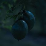 عطر ادکلن ماراکوجا ناتورزا دوس سونهوش ناتورا - Maracujá Natureza dos Sonhos Natura - بررسی، قیمت و خرید